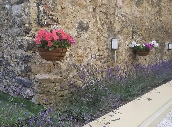 Apartantiguo San Isidoro10 *